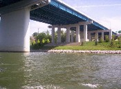 ducks09.jpg